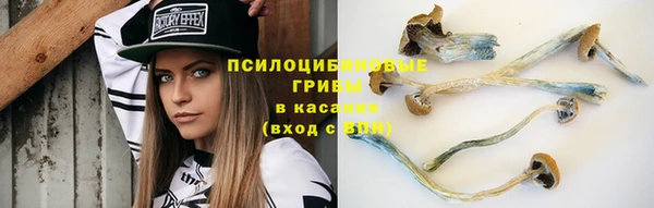 ALPHA PVP Новодвинск