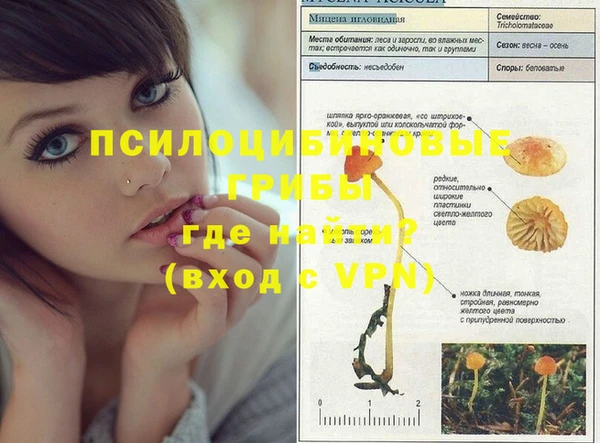 бутик Новозыбков