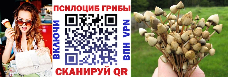Галлюциногенные грибы прущие грибы  как найти закладки  Александровск 